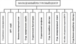 Структура МРЦ,работающая по принциау 'одного окна'