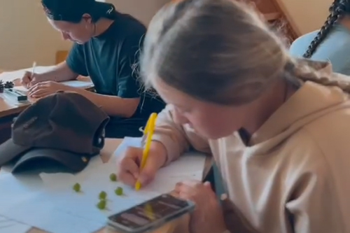 Практика ЛЭК "Простор"