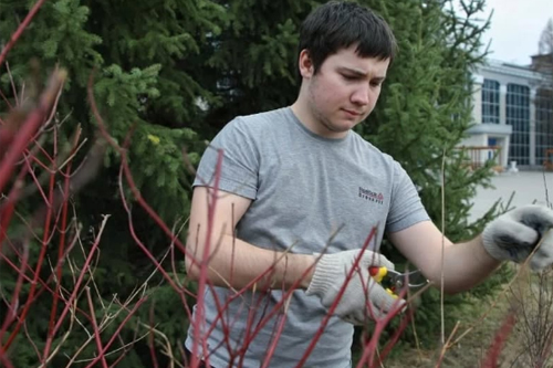 Президент Касым-Жомарт Токаев дал ряд поручений акимам областей и городов по благоустройству и озеленению территорий